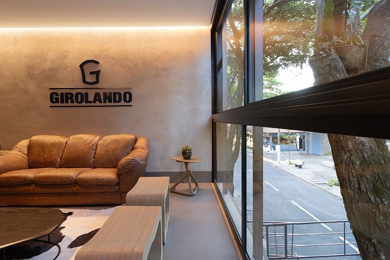 Girolando, foto 4